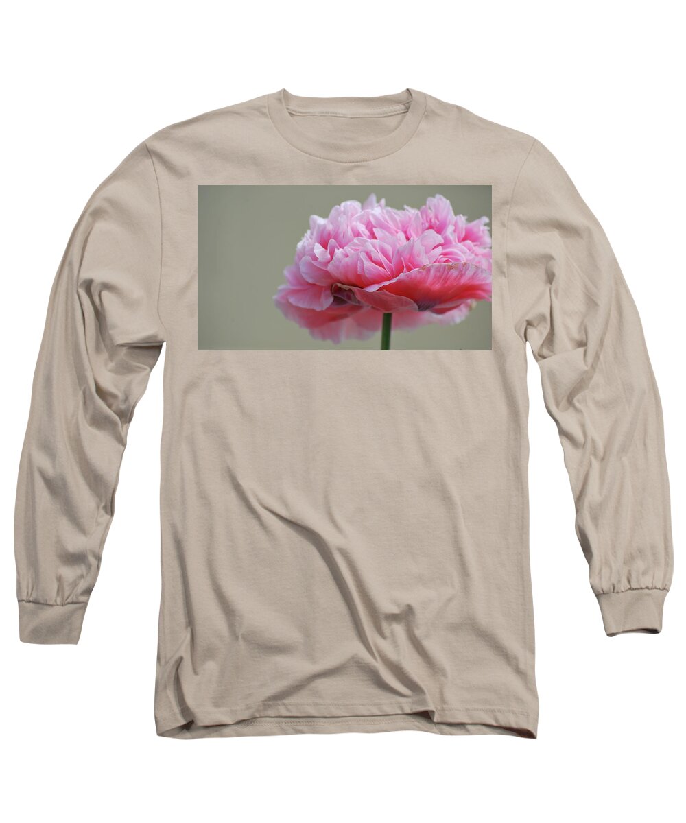 Pink Long Sleeve T-Shirt featuring the photograph Pink Poppy by Amee Cave