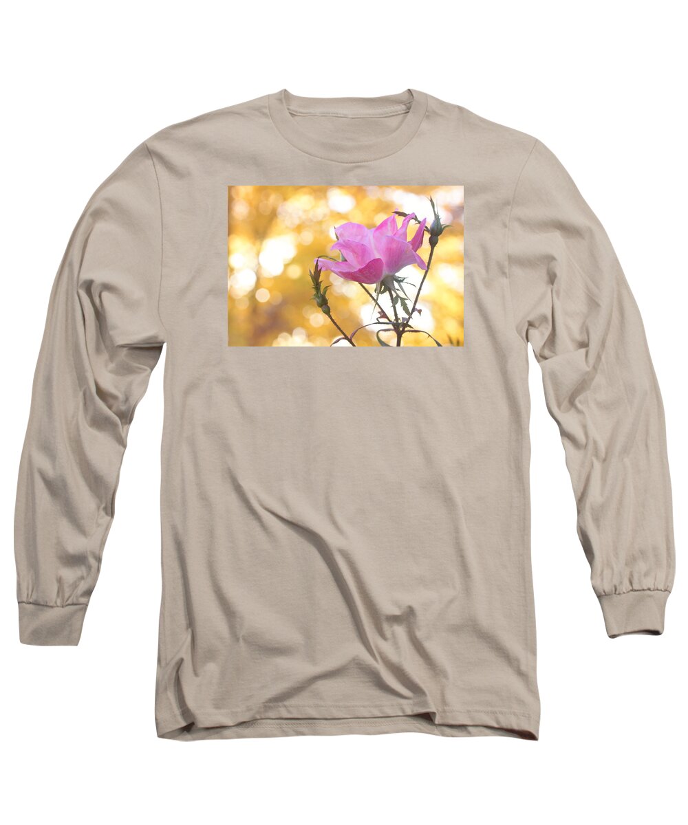 Flowers Long Sleeve T-Shirt featuring the photograph Pink Rose in the Light of Fall by Trina Ansel