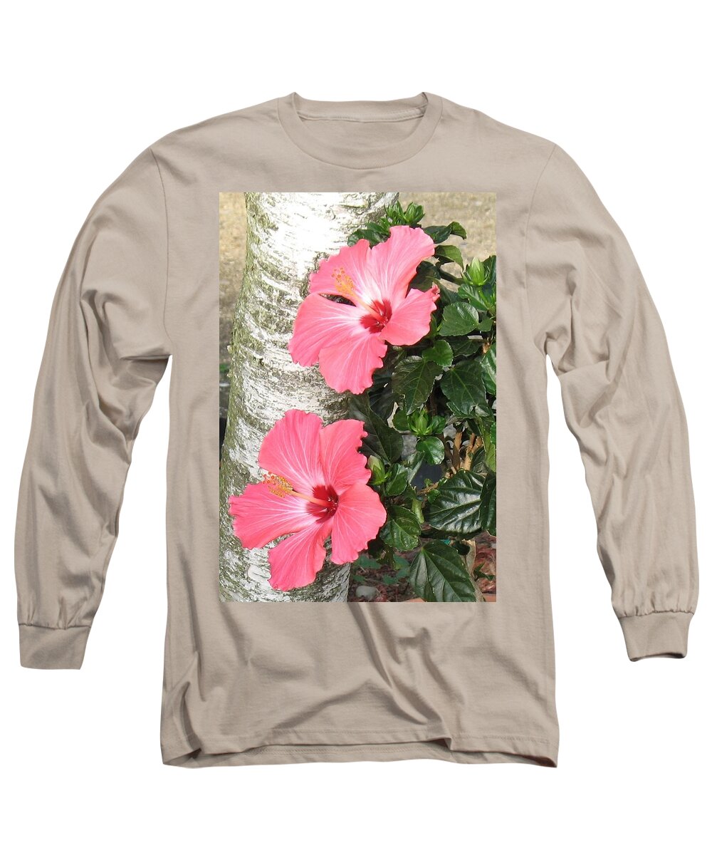 Flowers Long Sleeve T-Shirt featuring the photograph Pink Twins by Ed Smith
