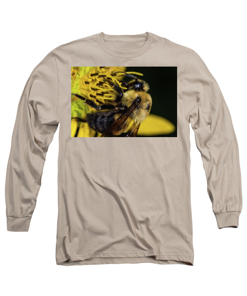 Jay Stockhaus Long Sleeve T-Shirt featuring the photograph Pollen Collector by Jay Stockhaus