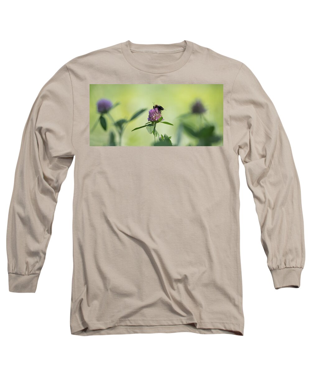 Pollination Long Sleeve T-Shirt featuring the photograph Pollination  by Holden The Moment