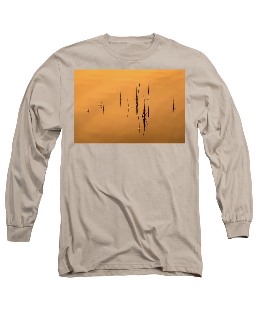 Nature Long Sleeve T-Shirt featuring the photograph Pond Reeds in Reflected Sunrise by Robert Mitchell