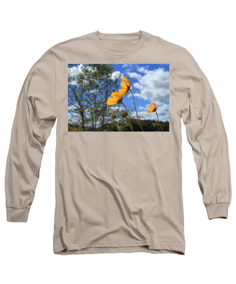 Radiant Yellow Flowers Long Sleeve T-Shirt featuring the photograph Radiant Yellow Flower by Karen Ruhl