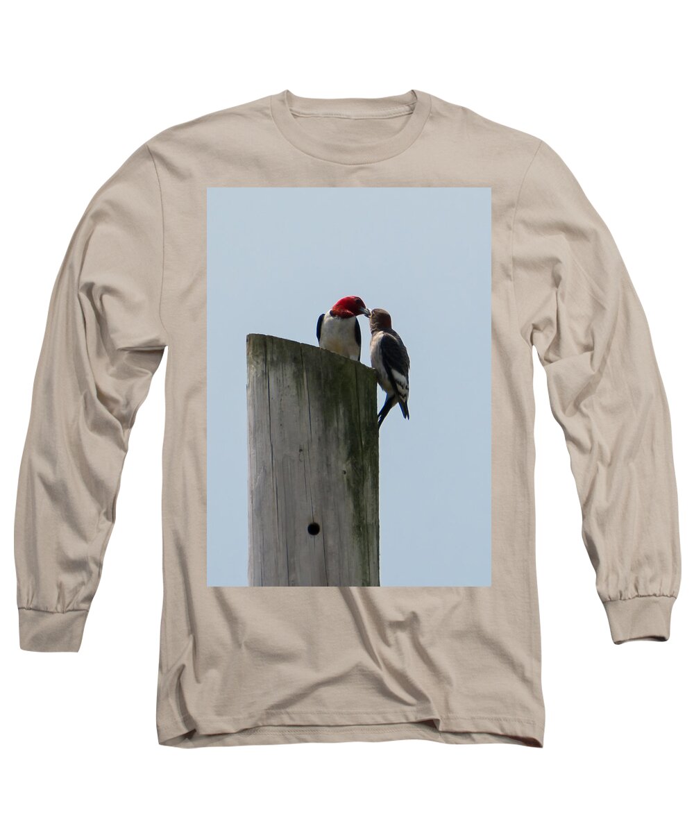 Red Headed Woodpeckers Long Sleeve T-Shirt featuring the photograph Red Headed Woodpeckers by Holden The Moment