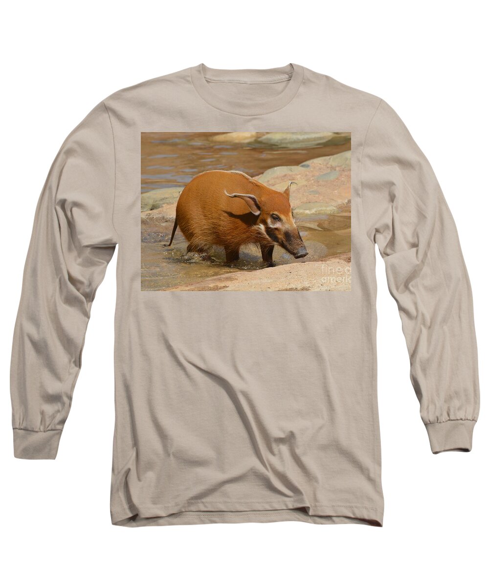 Red River Hog Long Sleeve T-Shirt featuring the photograph Red River Hog by Savannah Gibbs