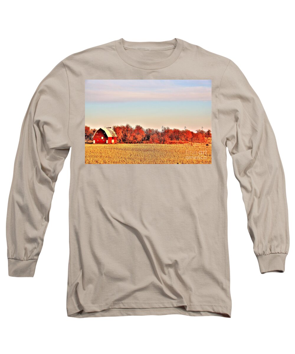 Barn Long Sleeve T-Shirt featuring the photograph Reds and Oranges by Merle Grenz