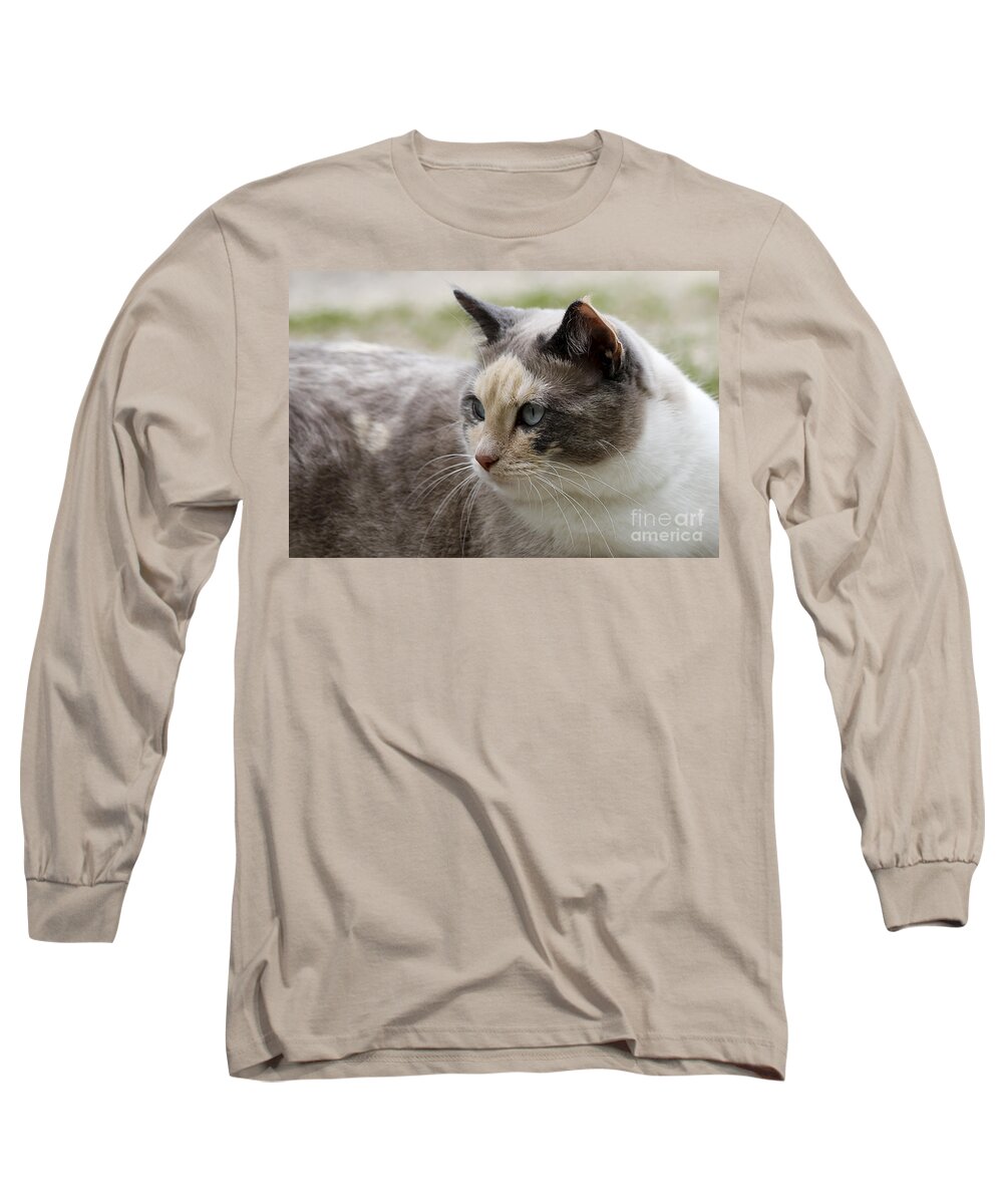 Animal Long Sleeve T-Shirt featuring the photograph Relaxed by Teresa Zieba