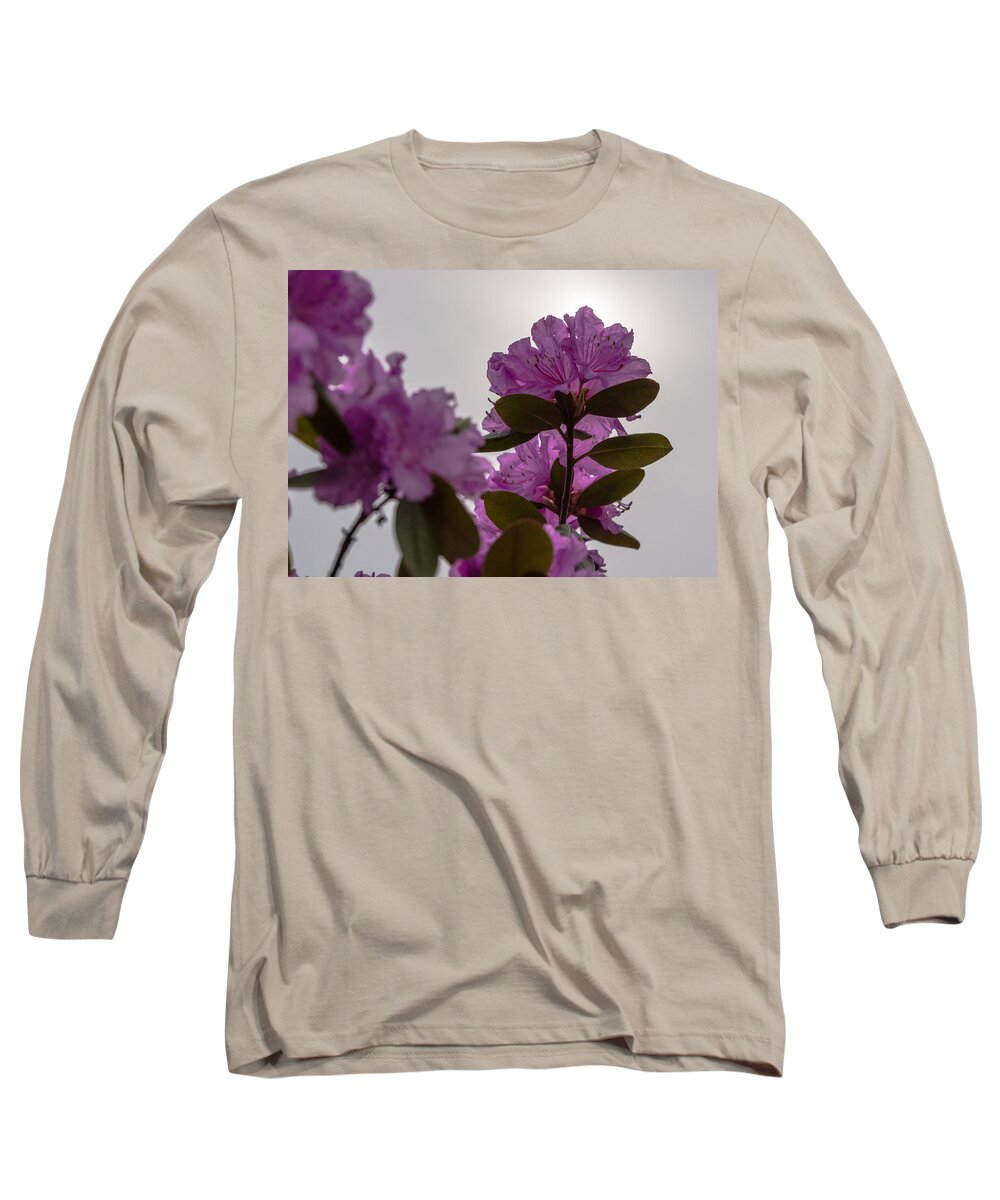 Rhododendron Long Sleeve T-Shirt featuring the photograph Rhododendron Backlit by the Sun by Holden The Moment