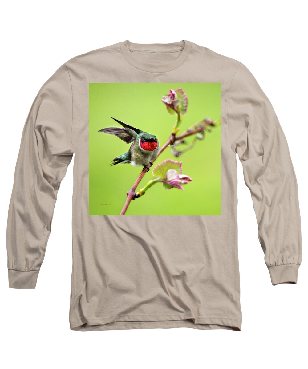 Birds Long Sleeve T-Shirt featuring the photograph Ruby Garden Hummingbird by Christina Rollo