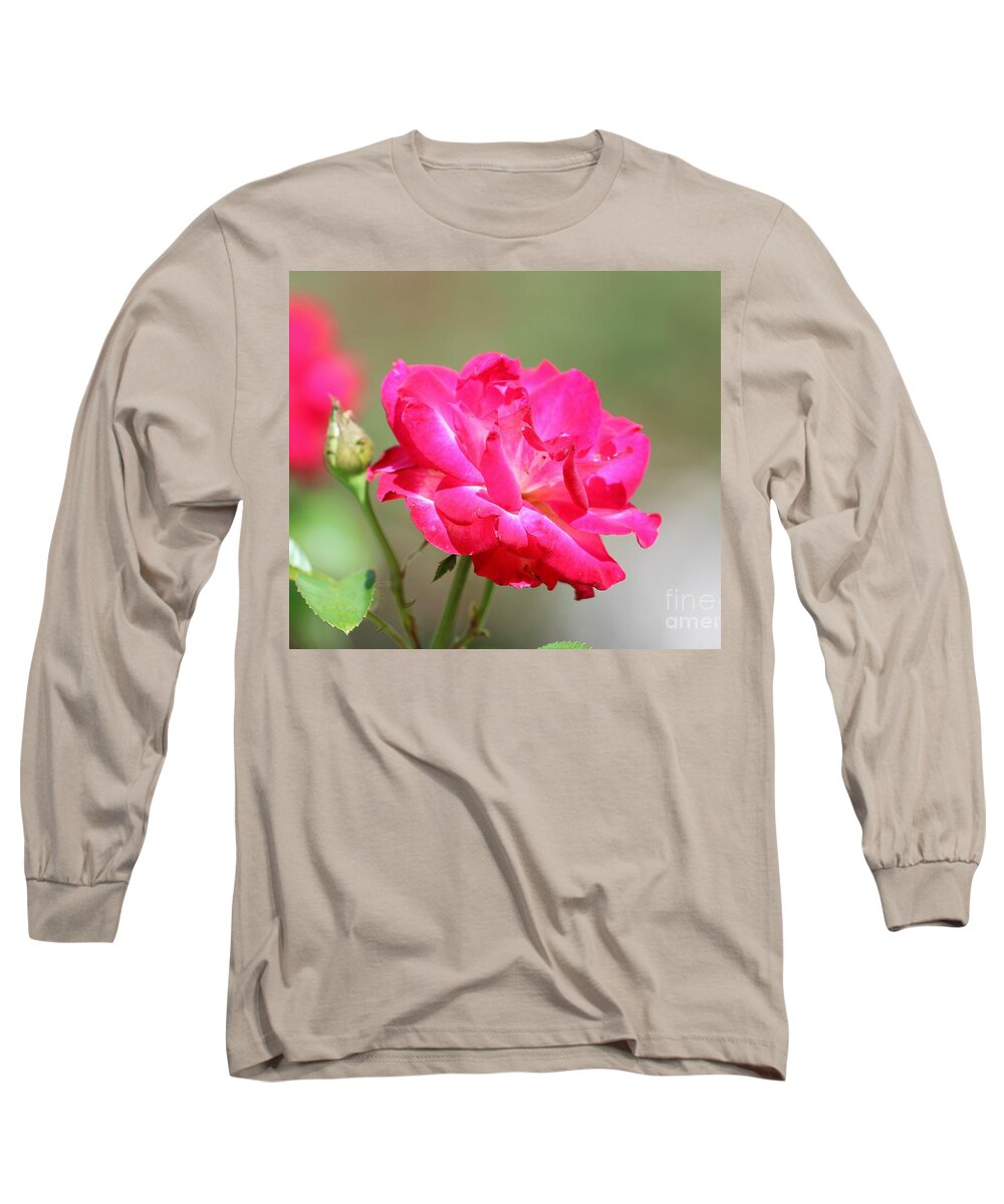 Rose Long Sleeve T-Shirt featuring the photograph Shades of Hot Pink Rose by Diann Fisher