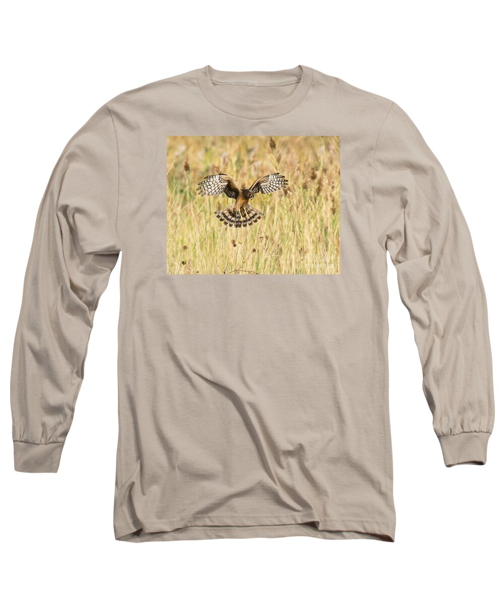 Bird Long Sleeve T-Shirt featuring the photograph Sighting the Prey by Dennis Hammer