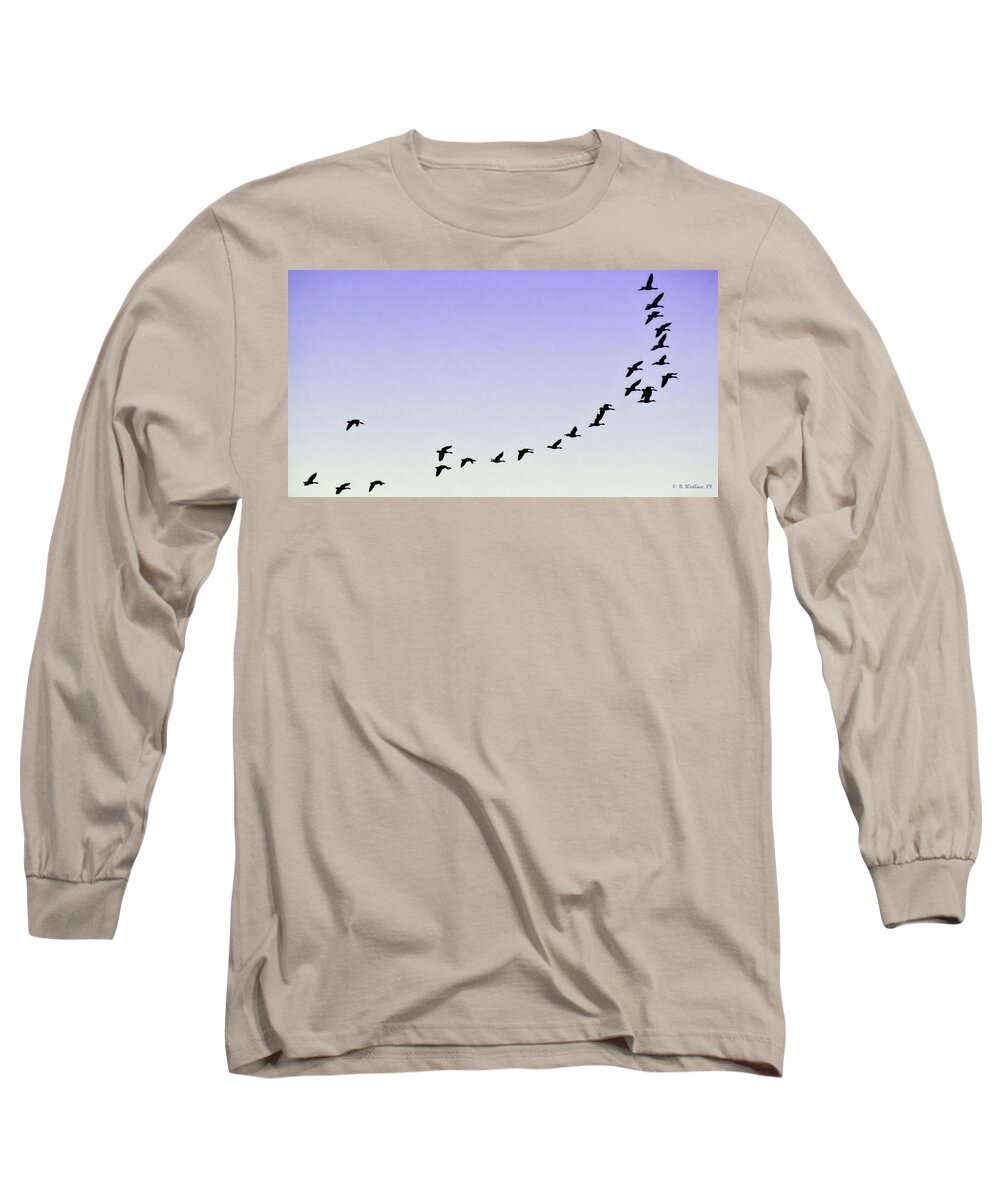 2d Long Sleeve T-Shirt featuring the photograph Silhouetted Flight by Brian Wallace