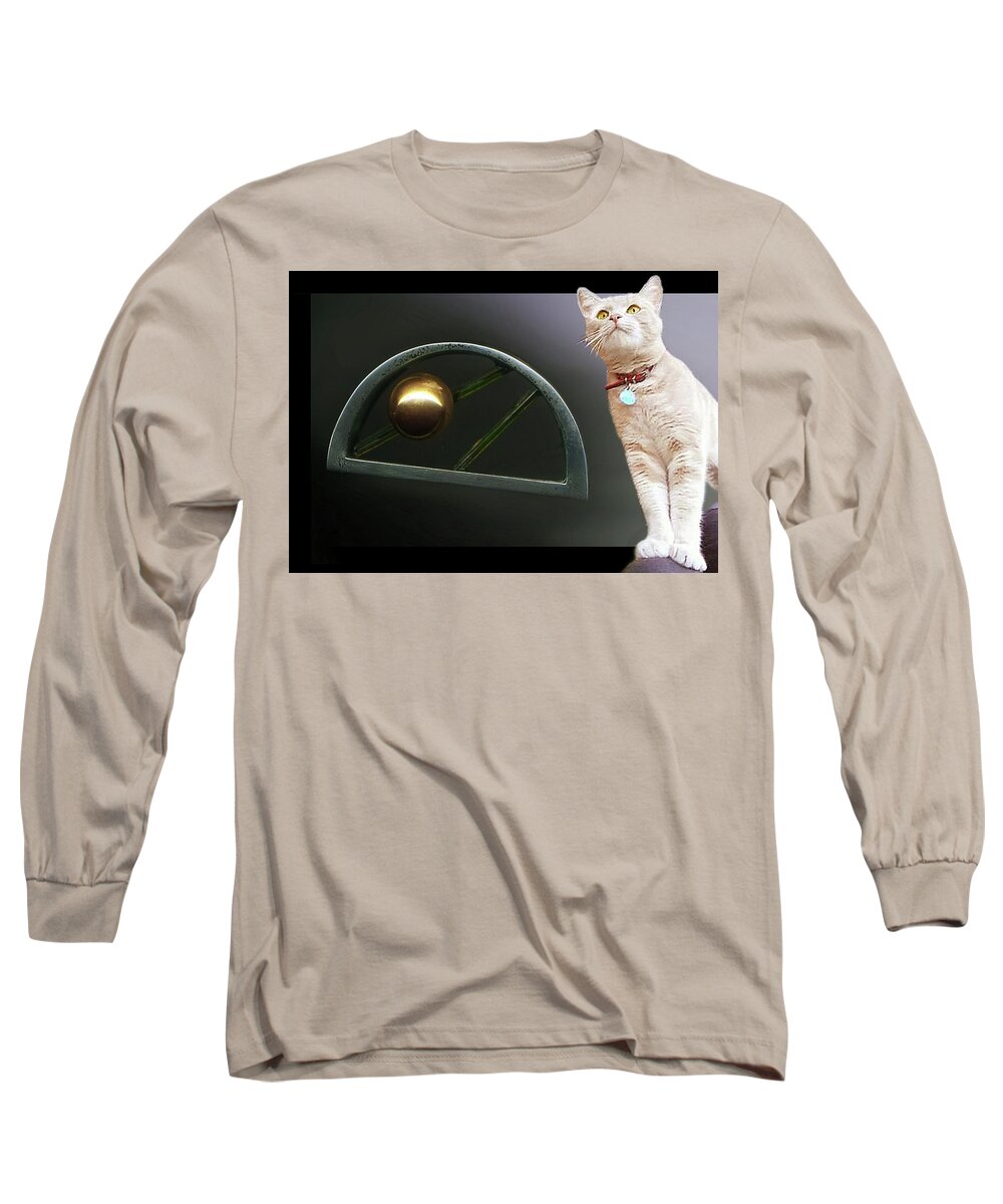 Silver Long Sleeve T-Shirt featuring the photograph Cat, Silver and Gold Brooch by Hartmut Jager