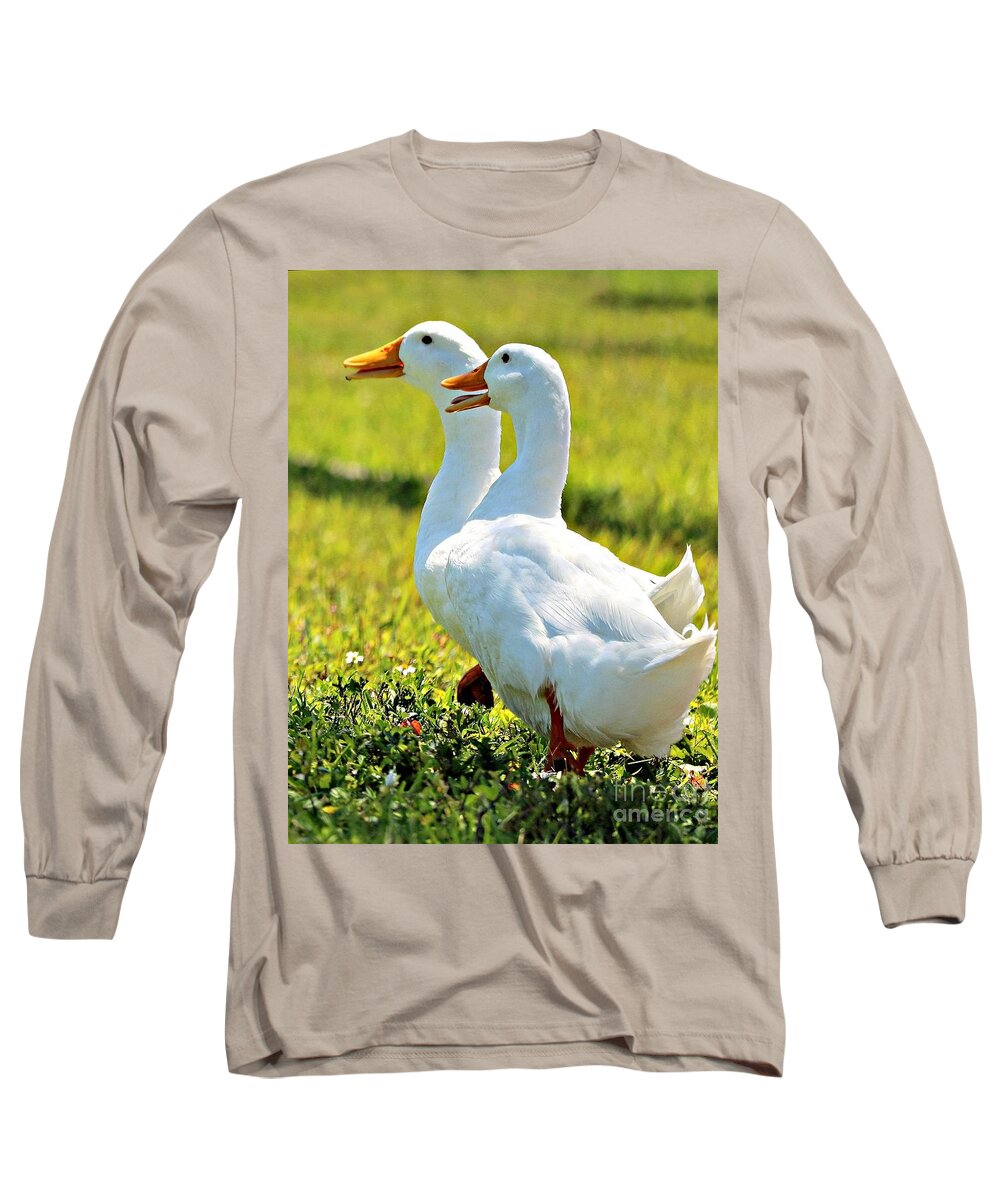 Ducks Long Sleeve T-Shirt featuring the photograph Spring Chicks by Diann Fisher