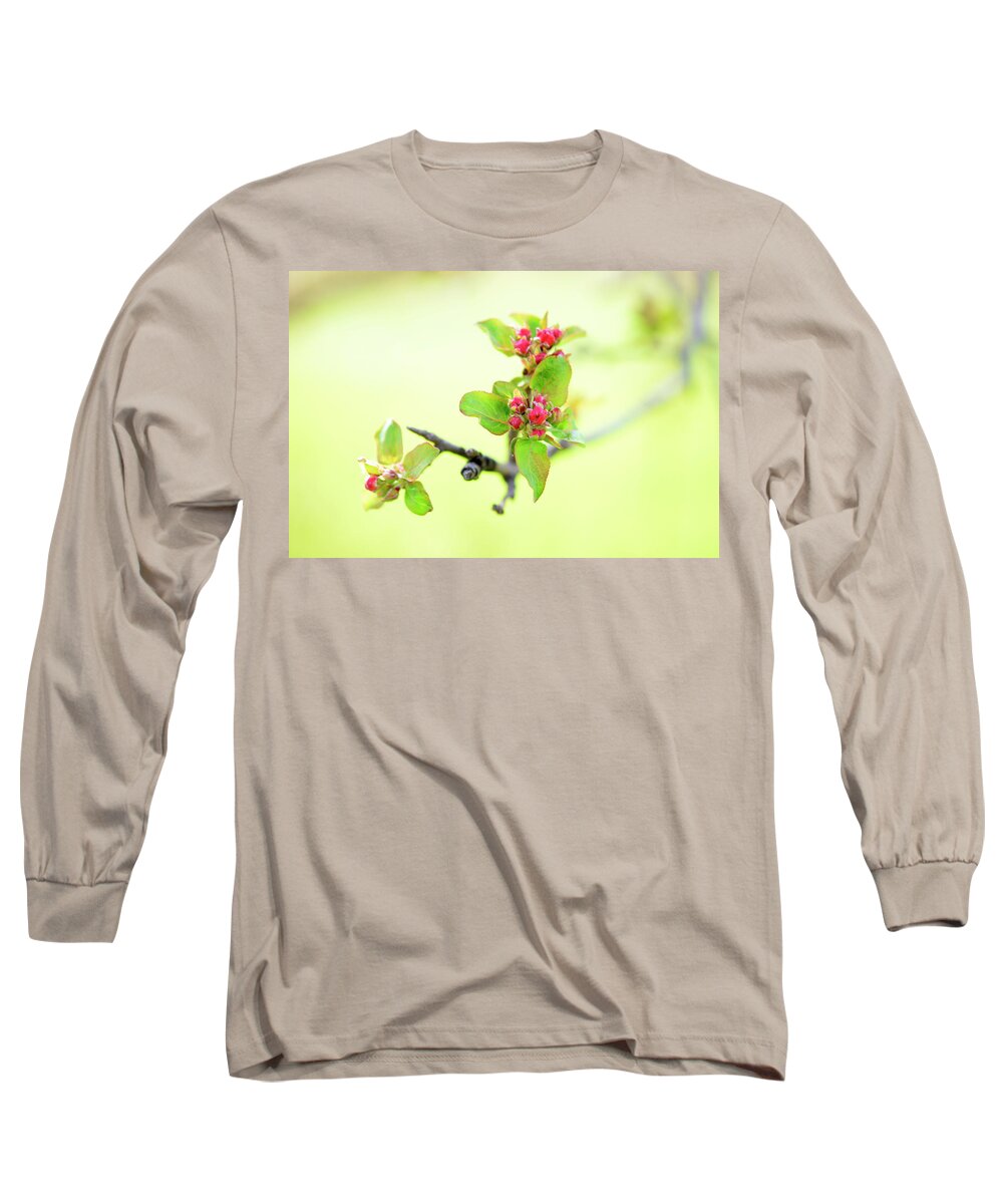 Spring Long Sleeve T-Shirt featuring the photograph Spring Hope by Linda L Brobeck