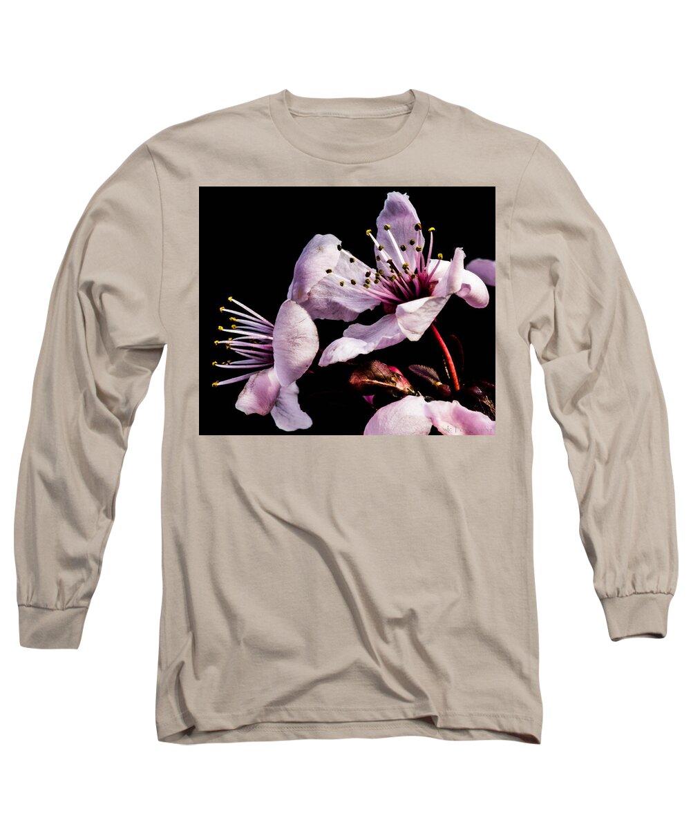 Flowers Long Sleeve T-Shirt featuring the photograph Spring Offering by Wendy Carrington