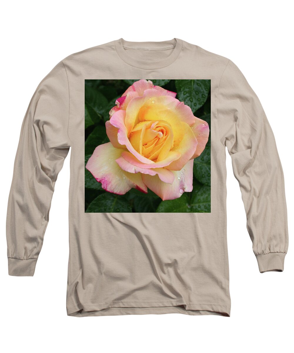 Rose Long Sleeve T-Shirt featuring the photograph Spring Rose by Quin Sweetman