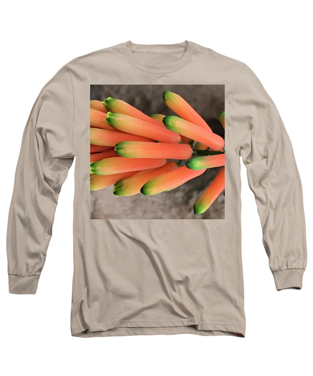 Flowers Long Sleeve T-Shirt featuring the photograph Stalks 3 by Jean Wolfrum