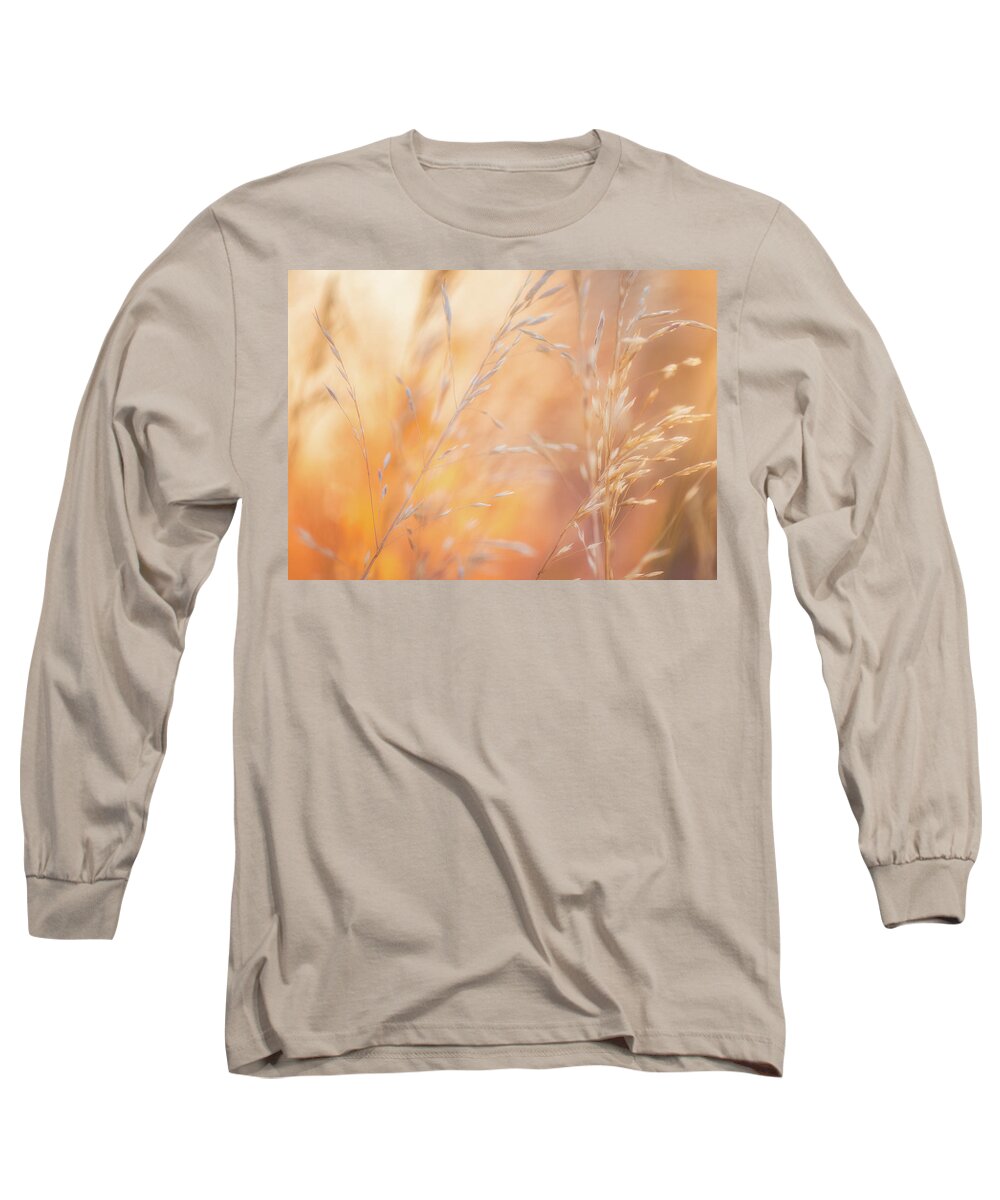 Macro Long Sleeve T-Shirt featuring the photograph Summer Mornings by Darren White