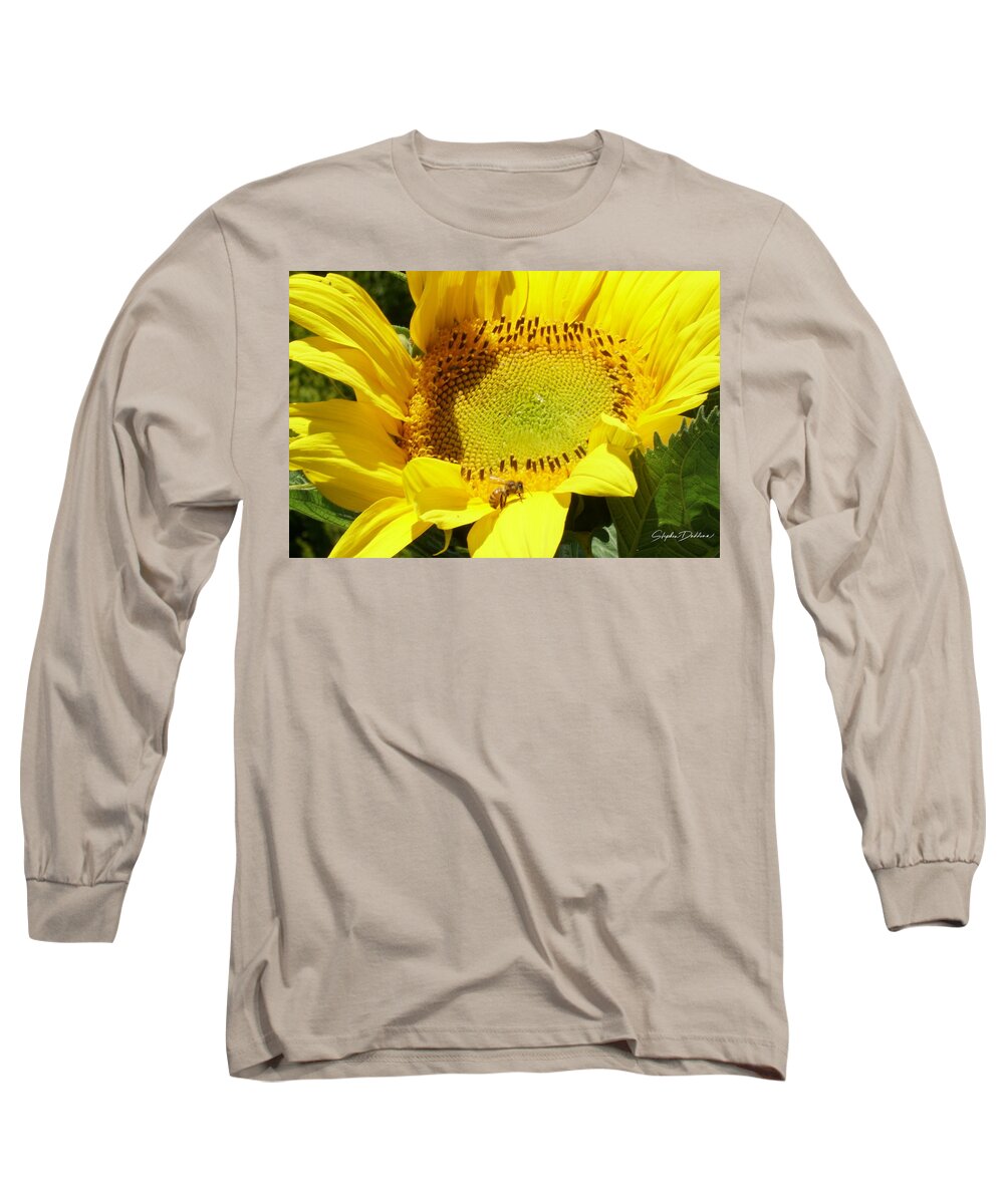 Sunflower Long Sleeve T-Shirt featuring the photograph Sunflower With Honeybee by Stephen Daddona