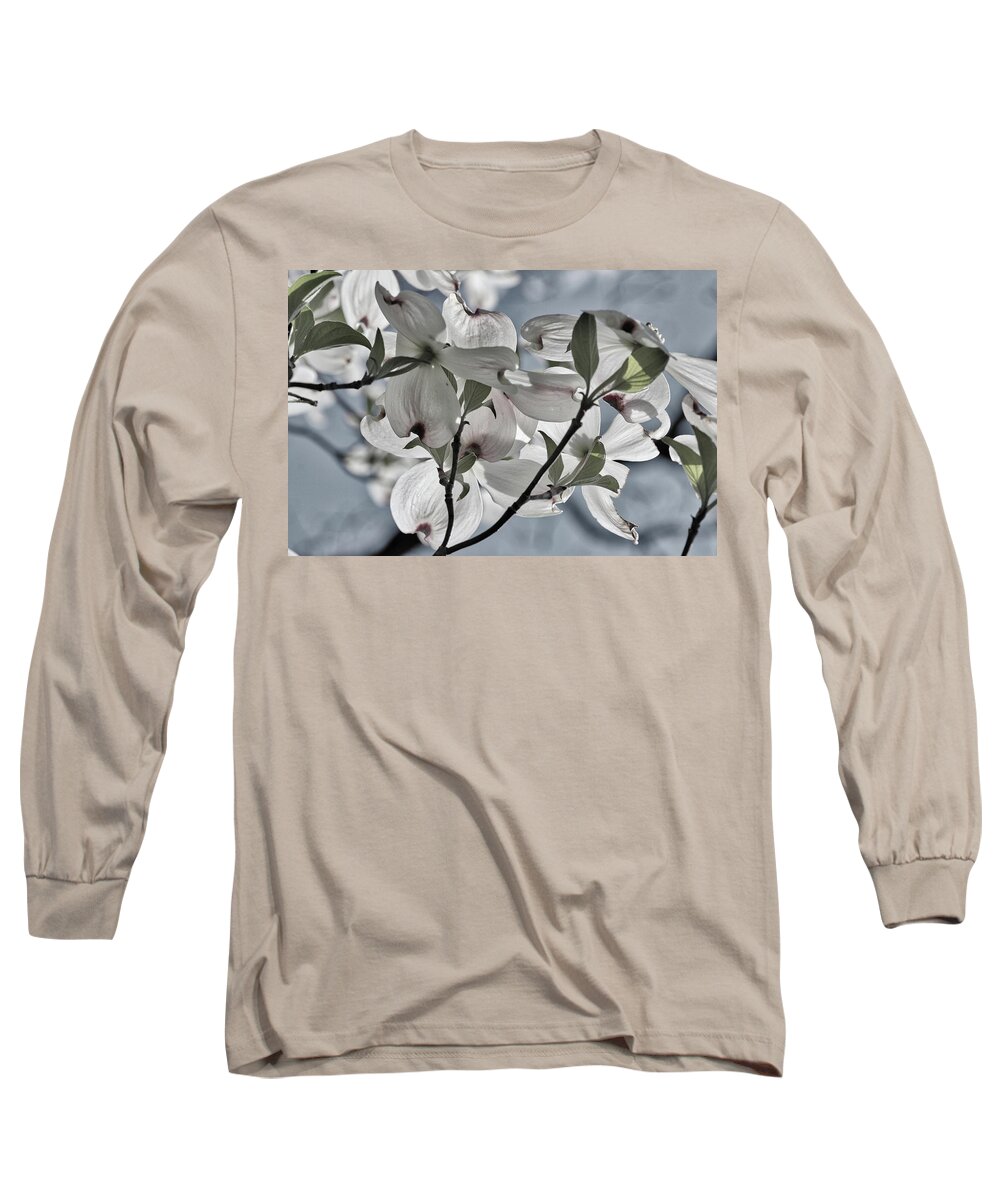 Tree Long Sleeve T-Shirt featuring the photograph Sunlit Dogwood by Harold Rau