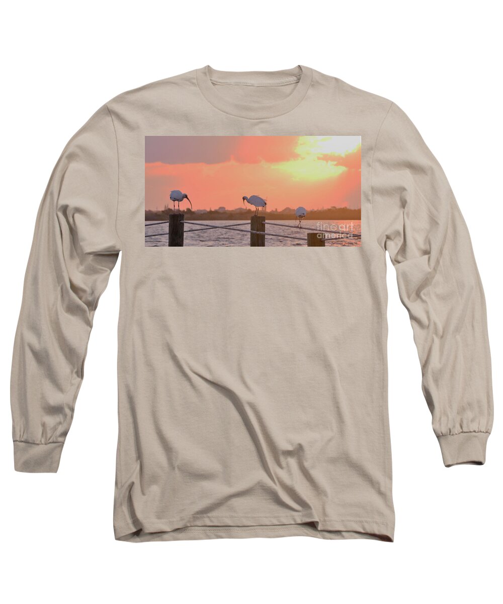 Ibis Long Sleeve T-Shirt featuring the photograph Sunrise with Ibis 10-26-16 by Julianne Felton