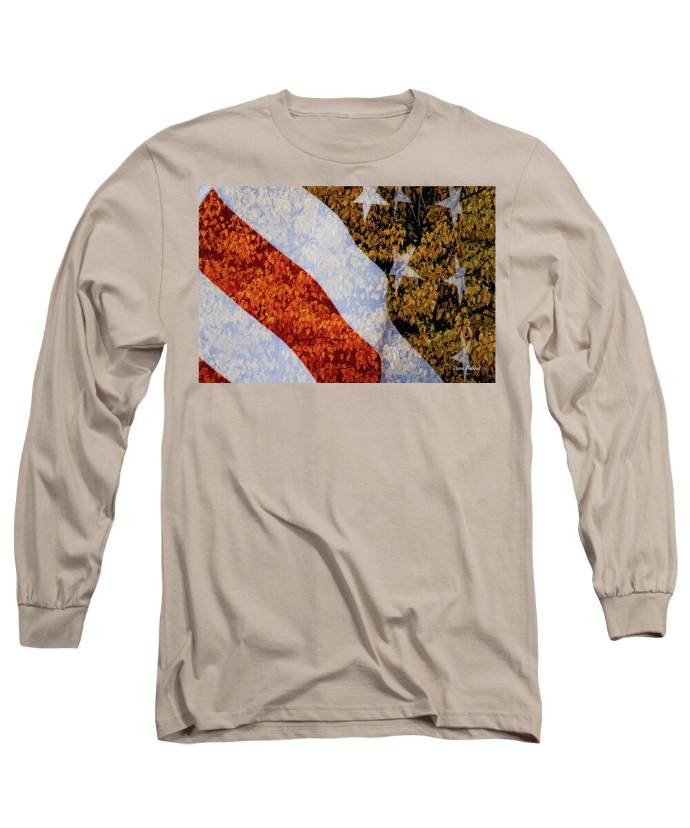 Flag Long Sleeve T-Shirt featuring the photograph Sweet Land Of Liberty by Donna Blackhall