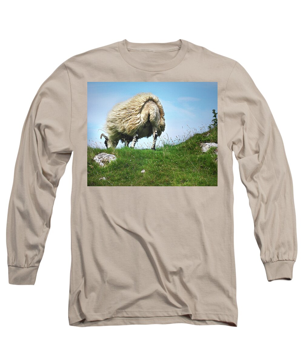 Sheep Long Sleeve T-Shirt featuring the digital art Tail Wind by Vicki Lea Eggen