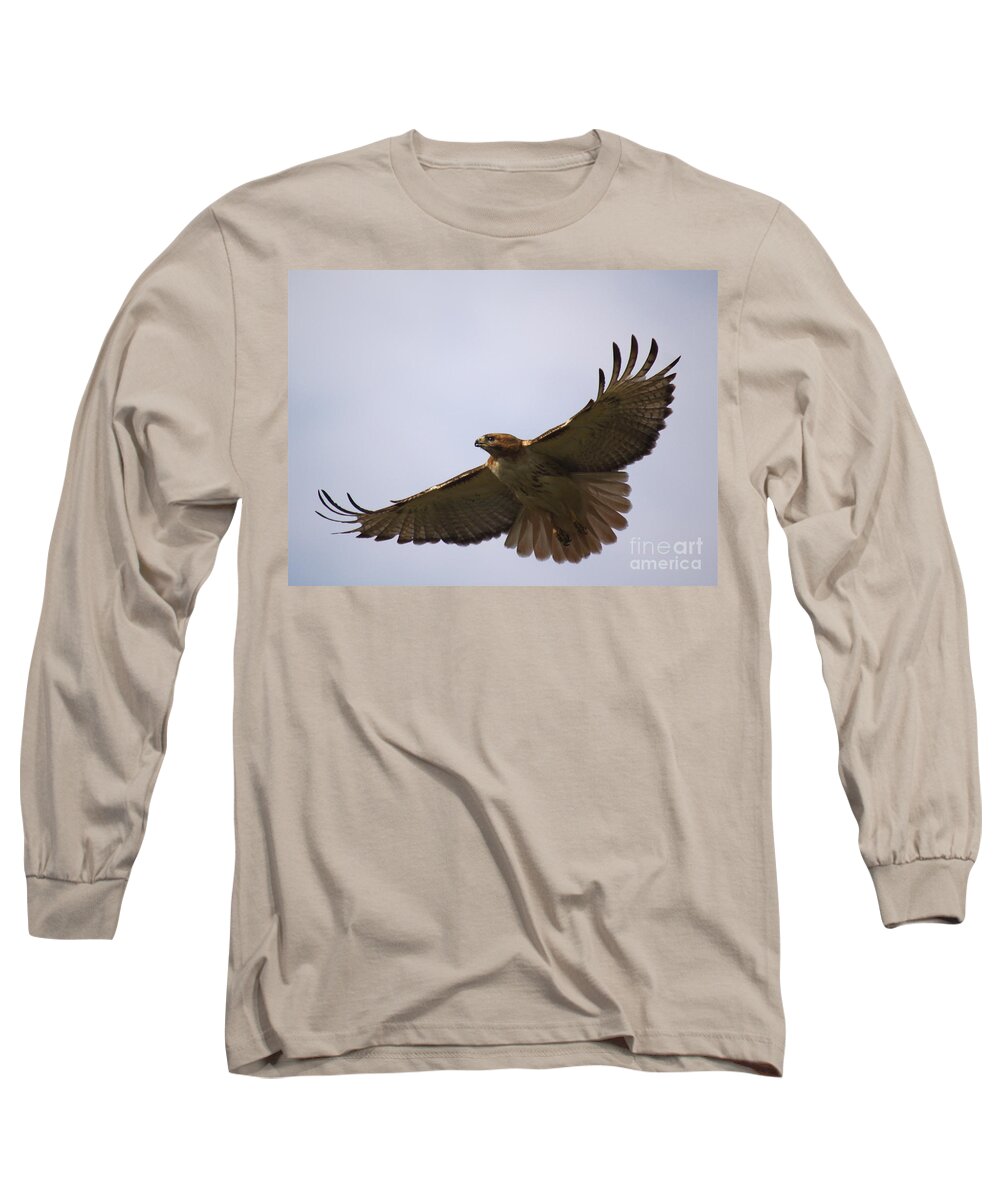 Hawk Long Sleeve T-Shirt featuring the photograph Taking Survey by Robert Pearson