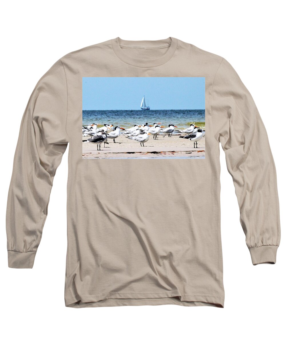 Terns Long Sleeve T-Shirt featuring the photograph Terns and Sailors by Mary Ann Artz