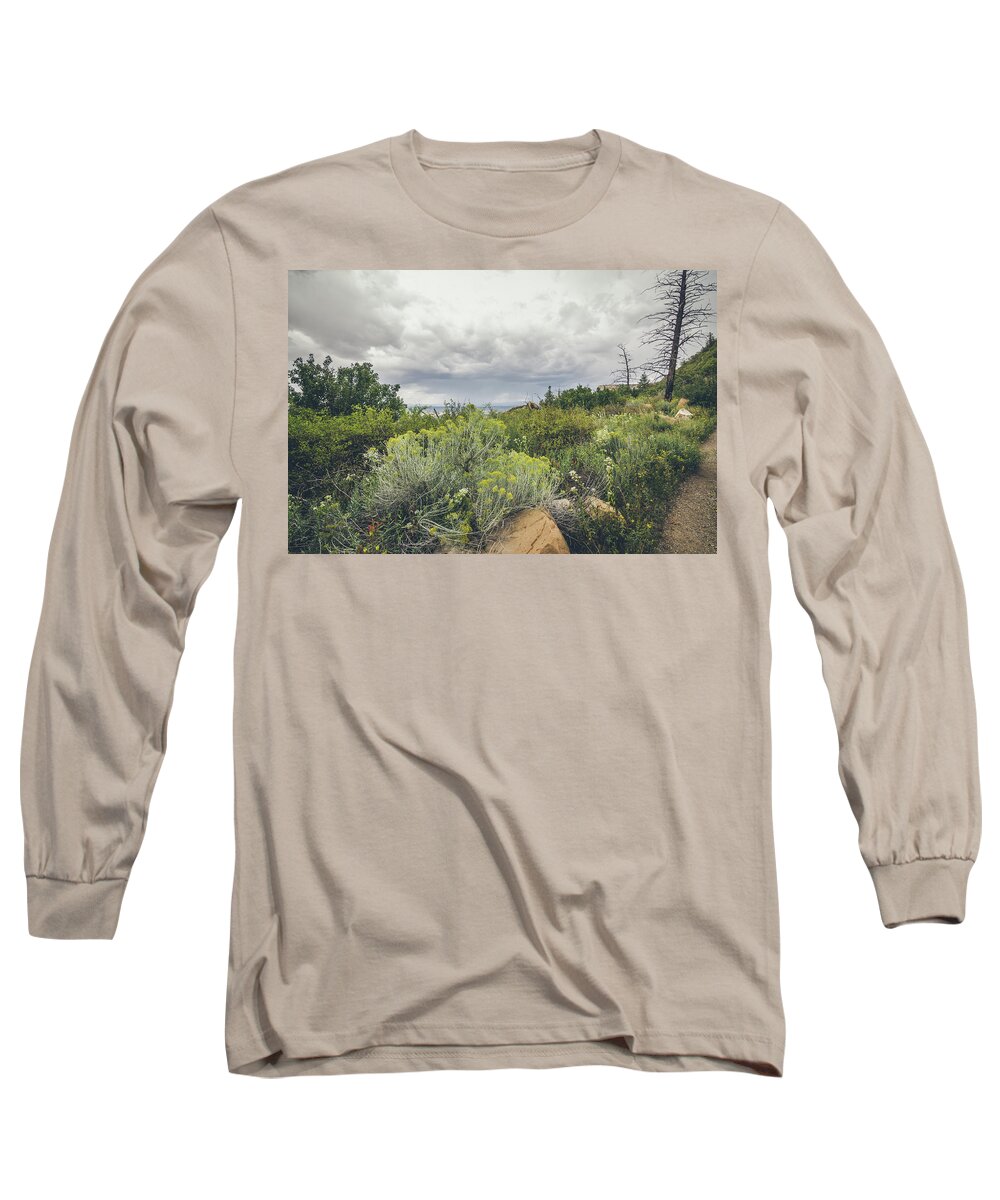 Landscape Long Sleeve T-Shirt featuring the photograph The Desert Comes Alive by Margaret Pitcher