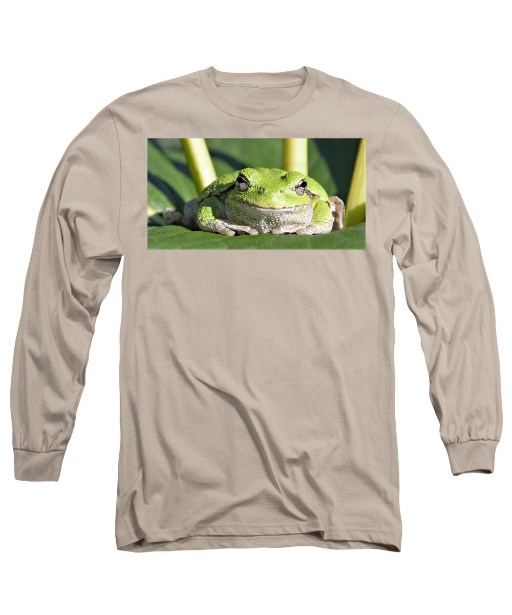 Frog Long Sleeve T-Shirt featuring the photograph The Happiest Tree Frog by Michael Hall