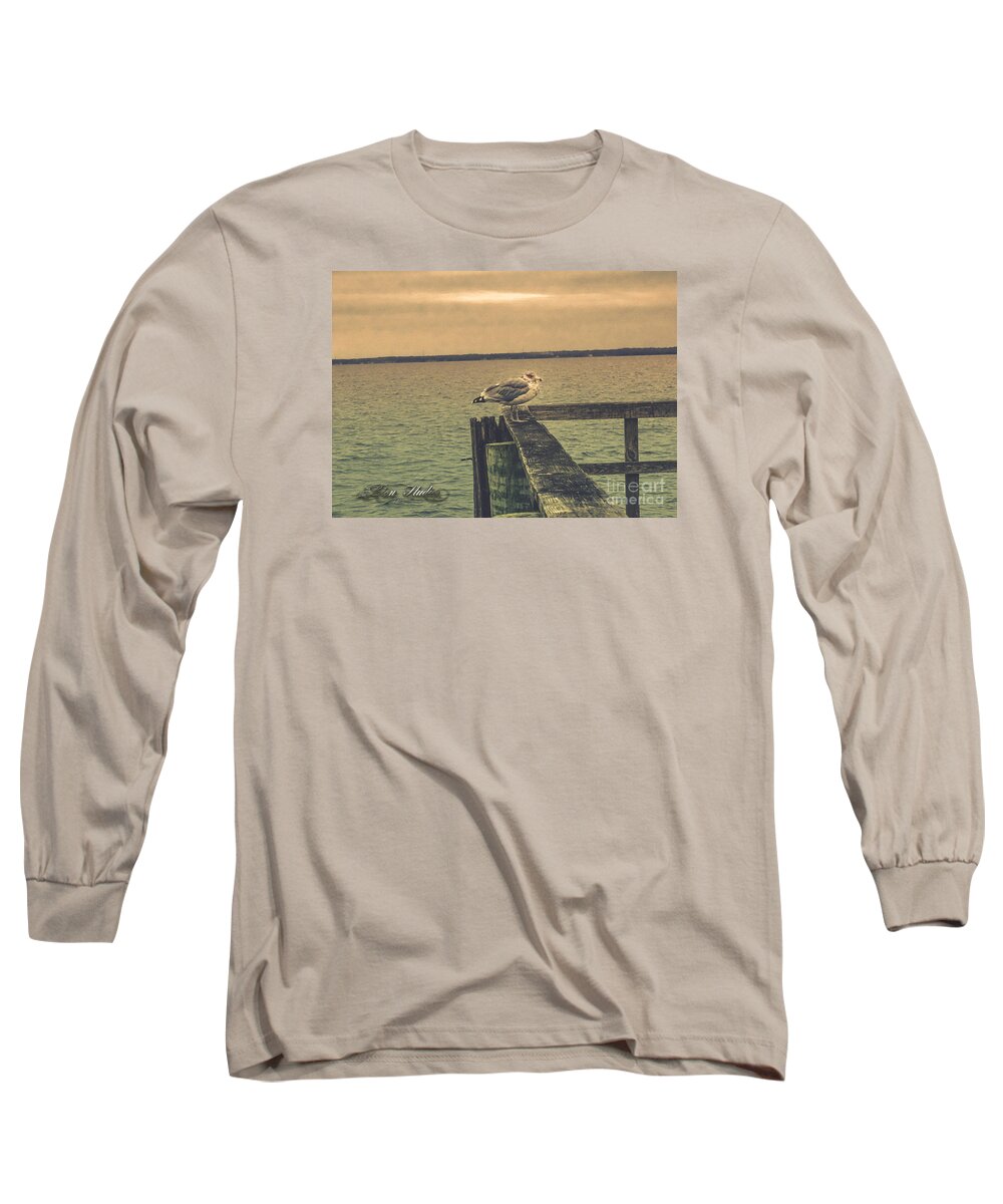  Long Sleeve T-Shirt featuring the photograph The Loner by Melissa Messick