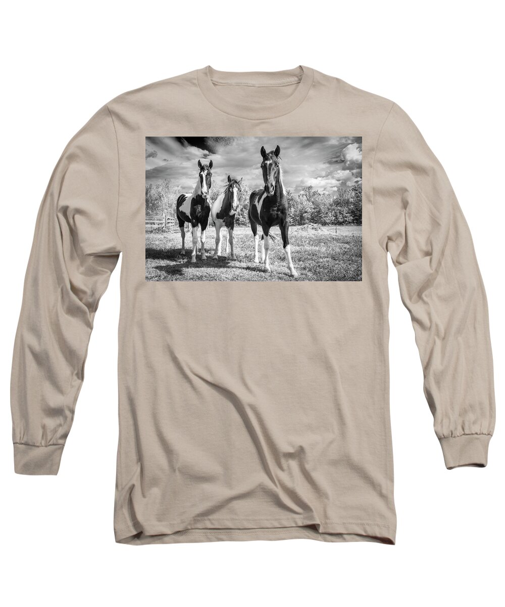 Horses Long Sleeve T-Shirt featuring the photograph Three Amigos by Holly Ross