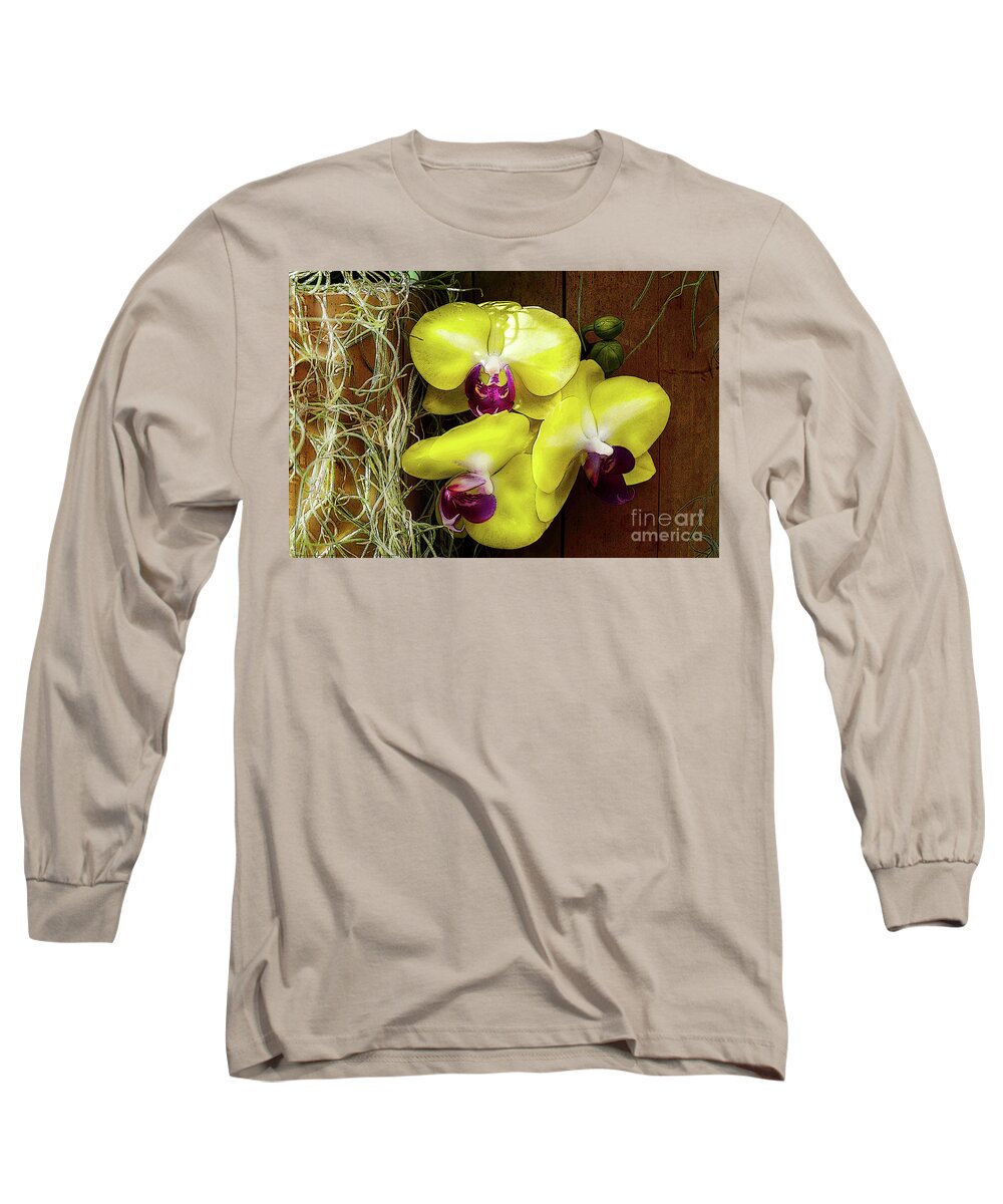 Flowers Long Sleeve T-Shirt featuring the photograph Three Yellow Orchids by Deb Nakano
