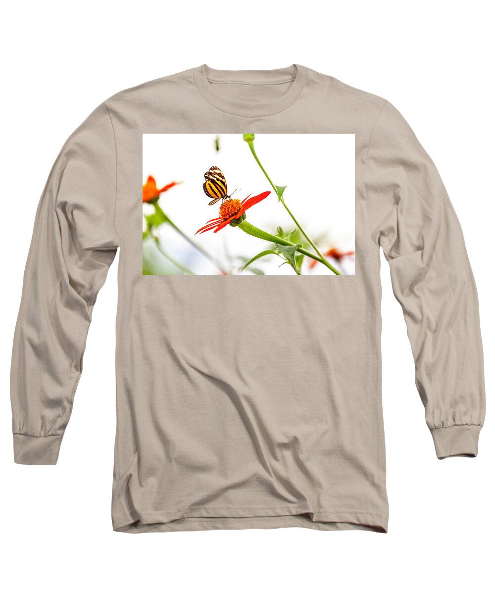 Butterfly Long Sleeve T-Shirt featuring the photograph tigerwing at plus 1EV by Edward Kreis