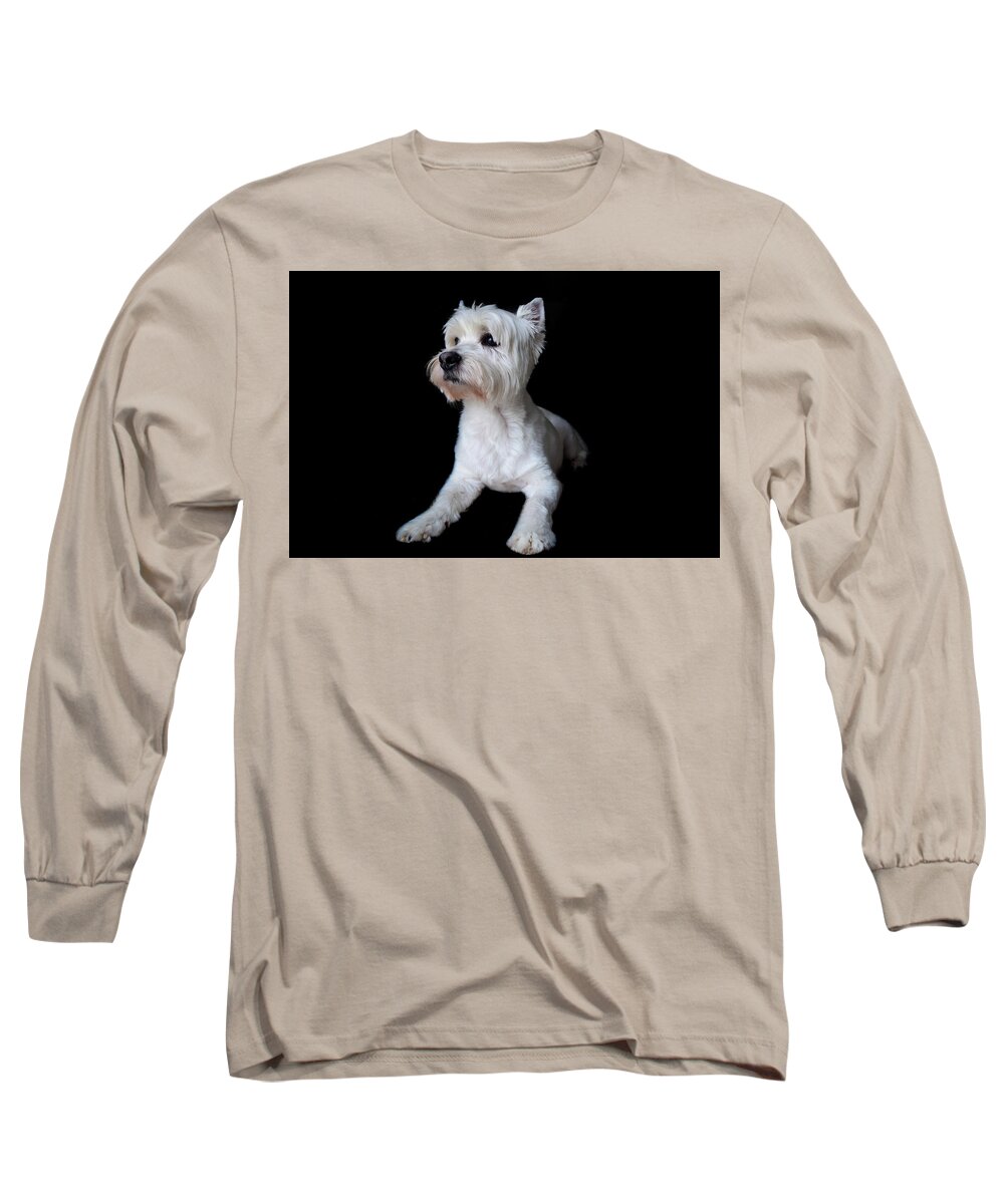 Westie Long Sleeve T-Shirt featuring the photograph Trot Posing by Nicole Lloyd