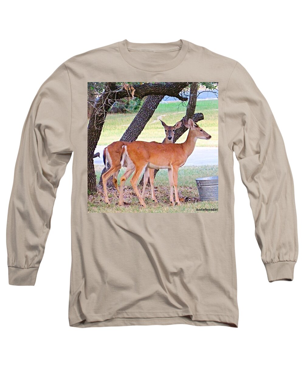 Beautiful Long Sleeve T-Shirt featuring the photograph #twins Under The Live #oak #trees In by Austin Tuxedo Cat