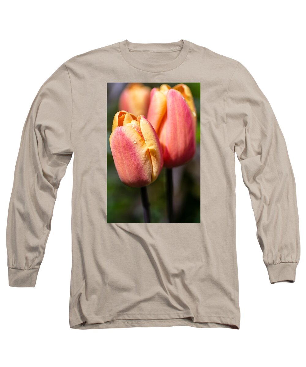 Tulips Long Sleeve T-Shirt featuring the photograph Two Toned Tulips by Martina Fagan