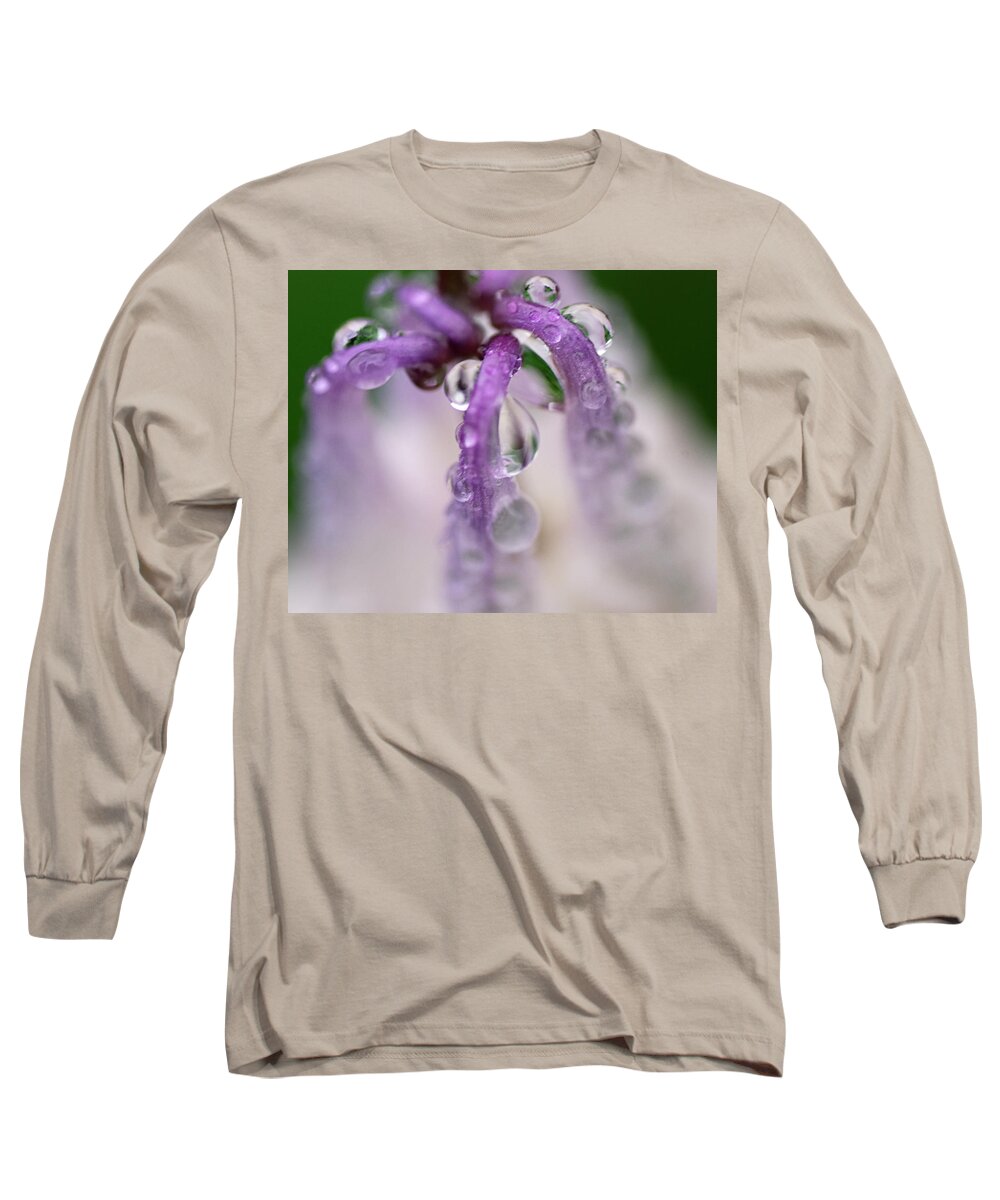 Nature Long Sleeve T-Shirt featuring the photograph Violet Mist by Sue Capuano