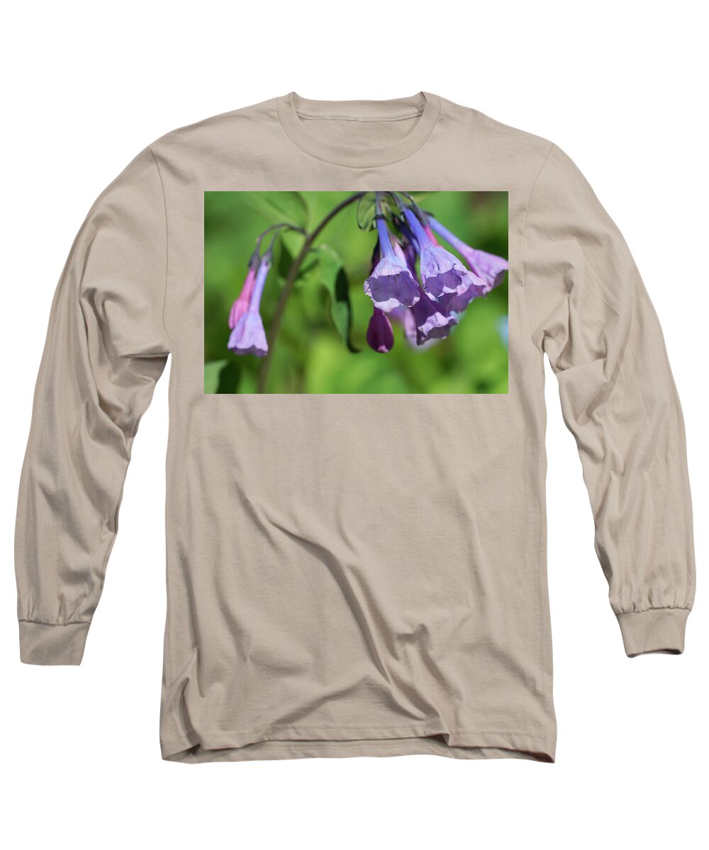 Garden Long Sleeve T-Shirt featuring the photograph Virginia Bluebells at Winterthur #330 by Raymond Magnani