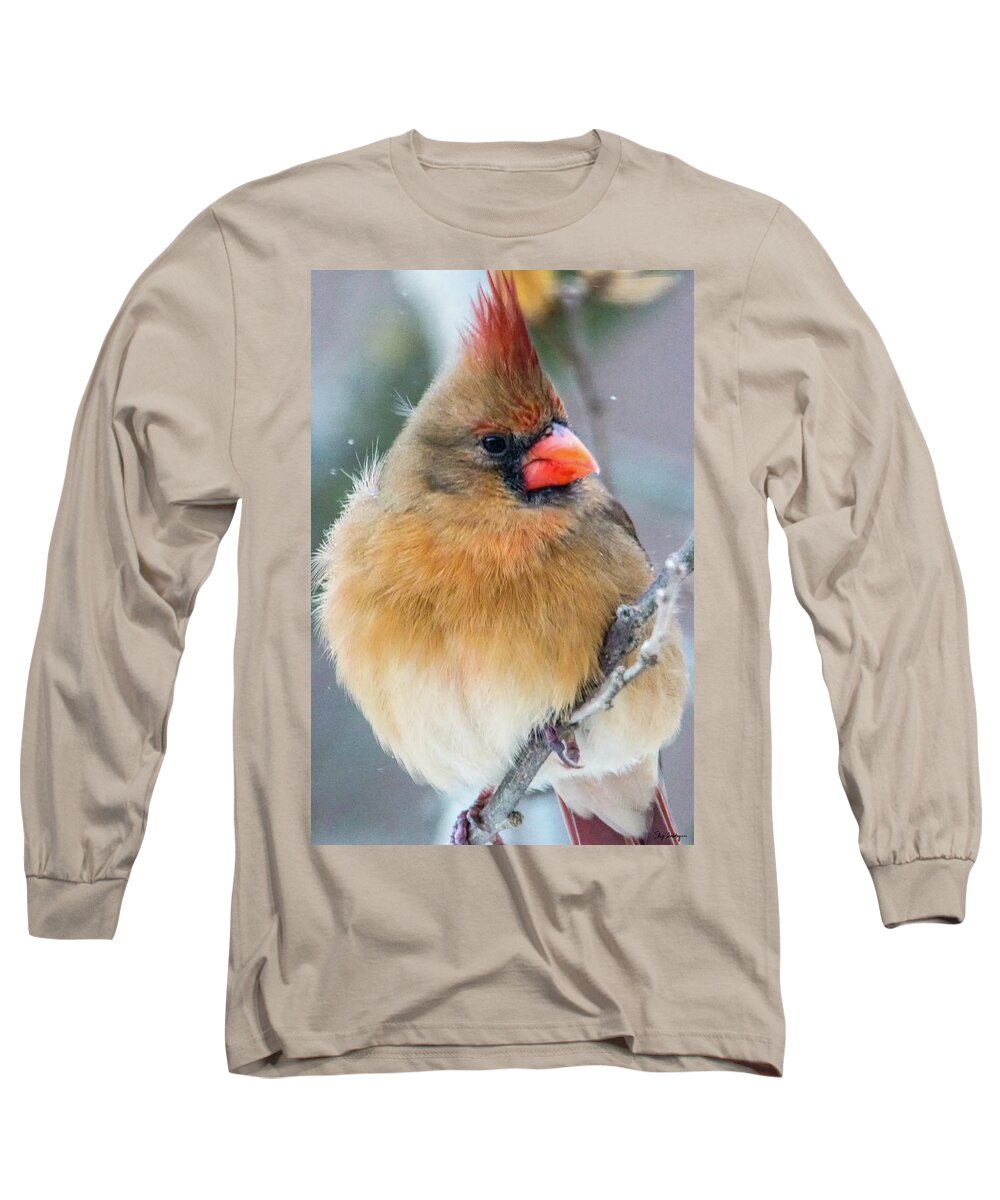 Cardinal Long Sleeve T-Shirt featuring the photograph Waiting Her Turn by Skip Tribby