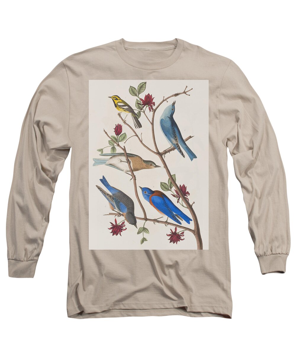 Audubon Long Sleeve T-Shirt featuring the painting Western Blue-bird by John James Audubon