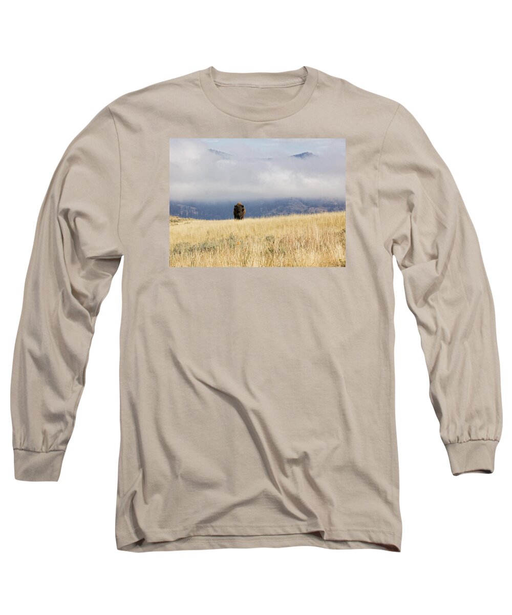 Buffalo Long Sleeve T-Shirt featuring the photograph Where Buffalo Roam by Deborah Penland