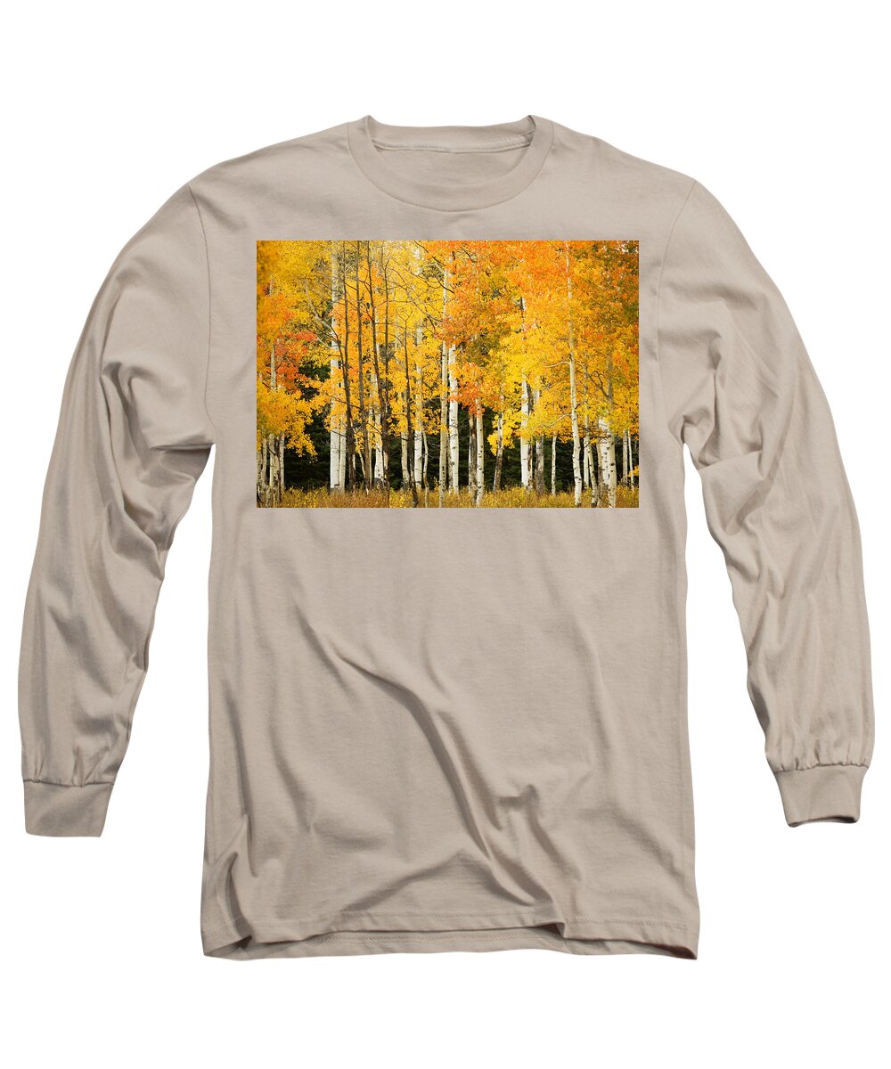 Aspen Long Sleeve T-Shirt featuring the photograph White Aspen Trunks by Ron Dahlquist - Printscapes