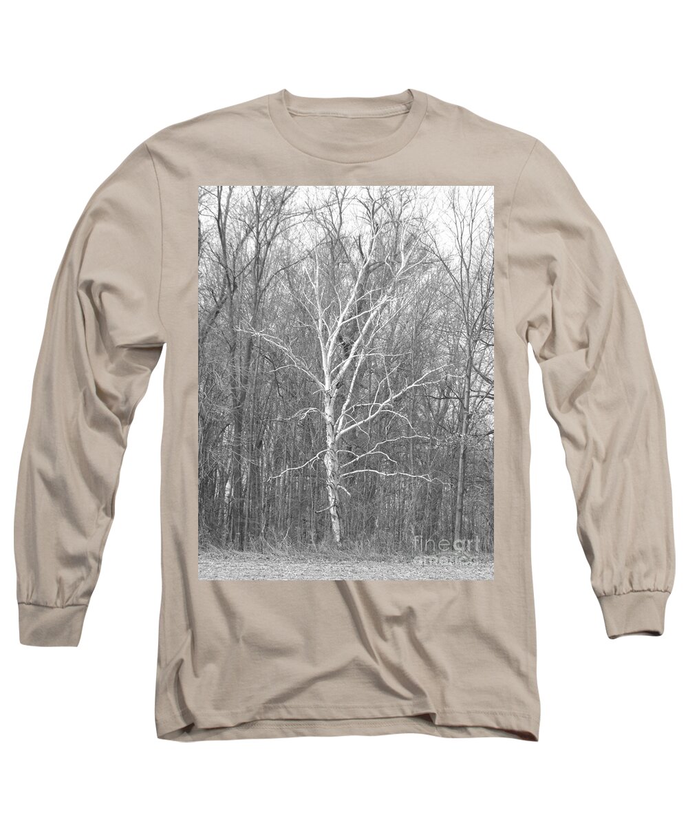 Birch Long Sleeve T-Shirt featuring the photograph White Birch In BW by Erick Schmidt