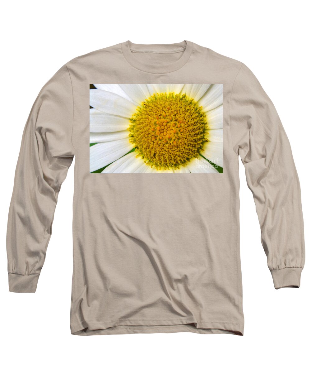 Daisy Long Sleeve T-Shirt featuring the photograph White Daisy Close Up by Amy Lucid