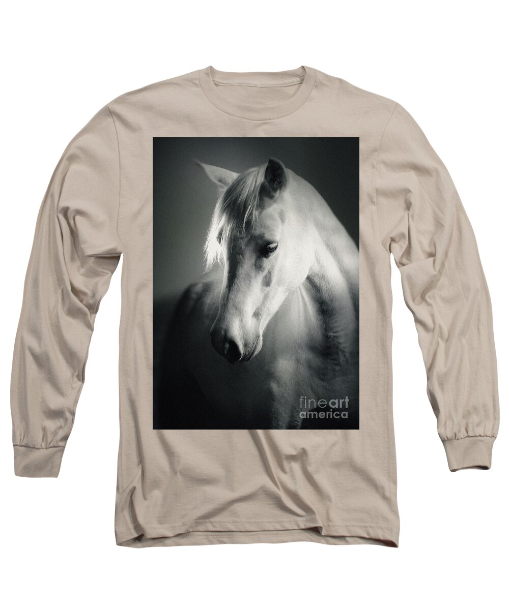 Horse Long Sleeve T-Shirt featuring the photograph White Horse Head Art Portrait by Dimitar Hristov
