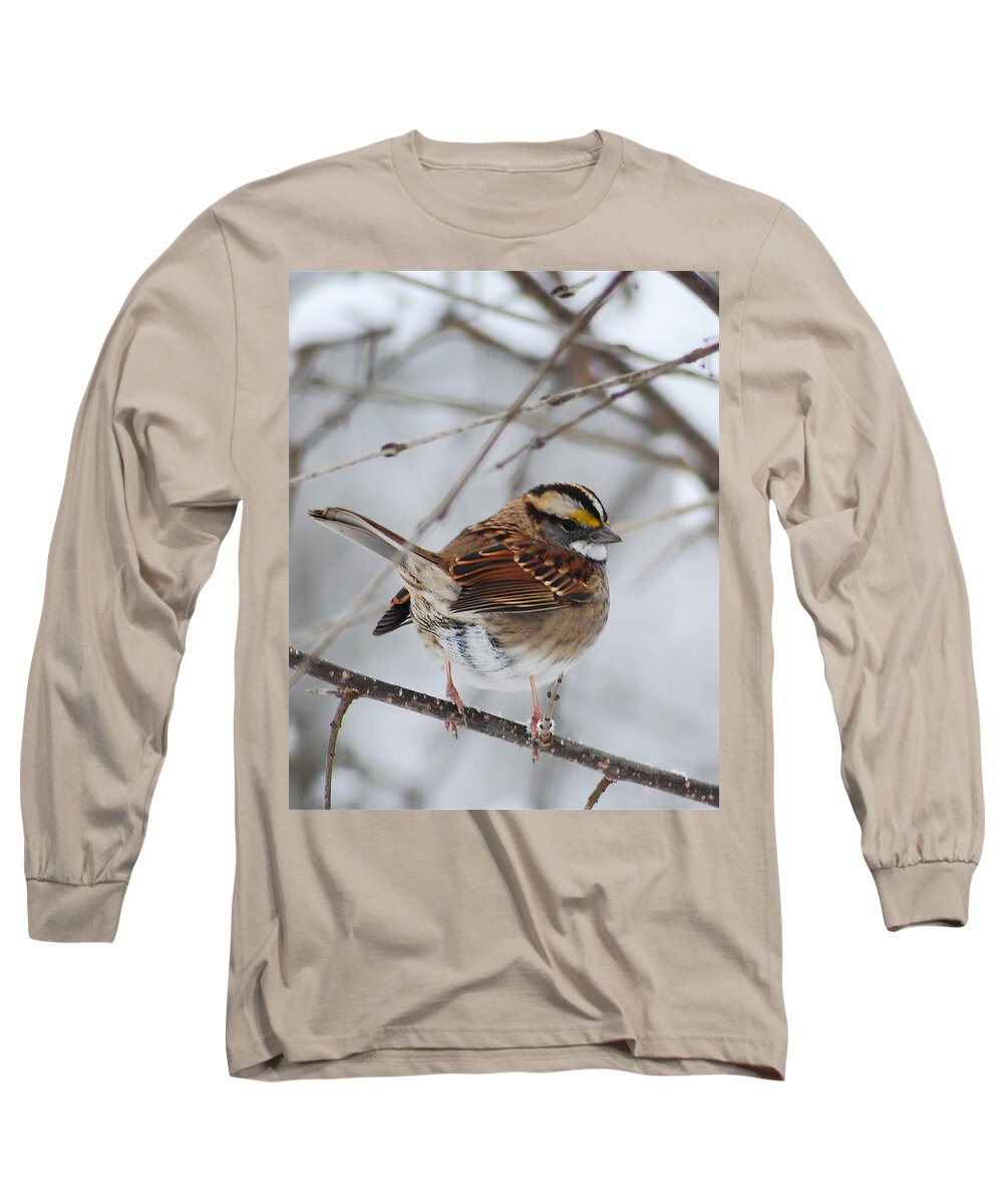 White-throated Sparrow Long Sleeve T-Shirt featuring the photograph White Throated Sparrow 2 by Michael Peychich