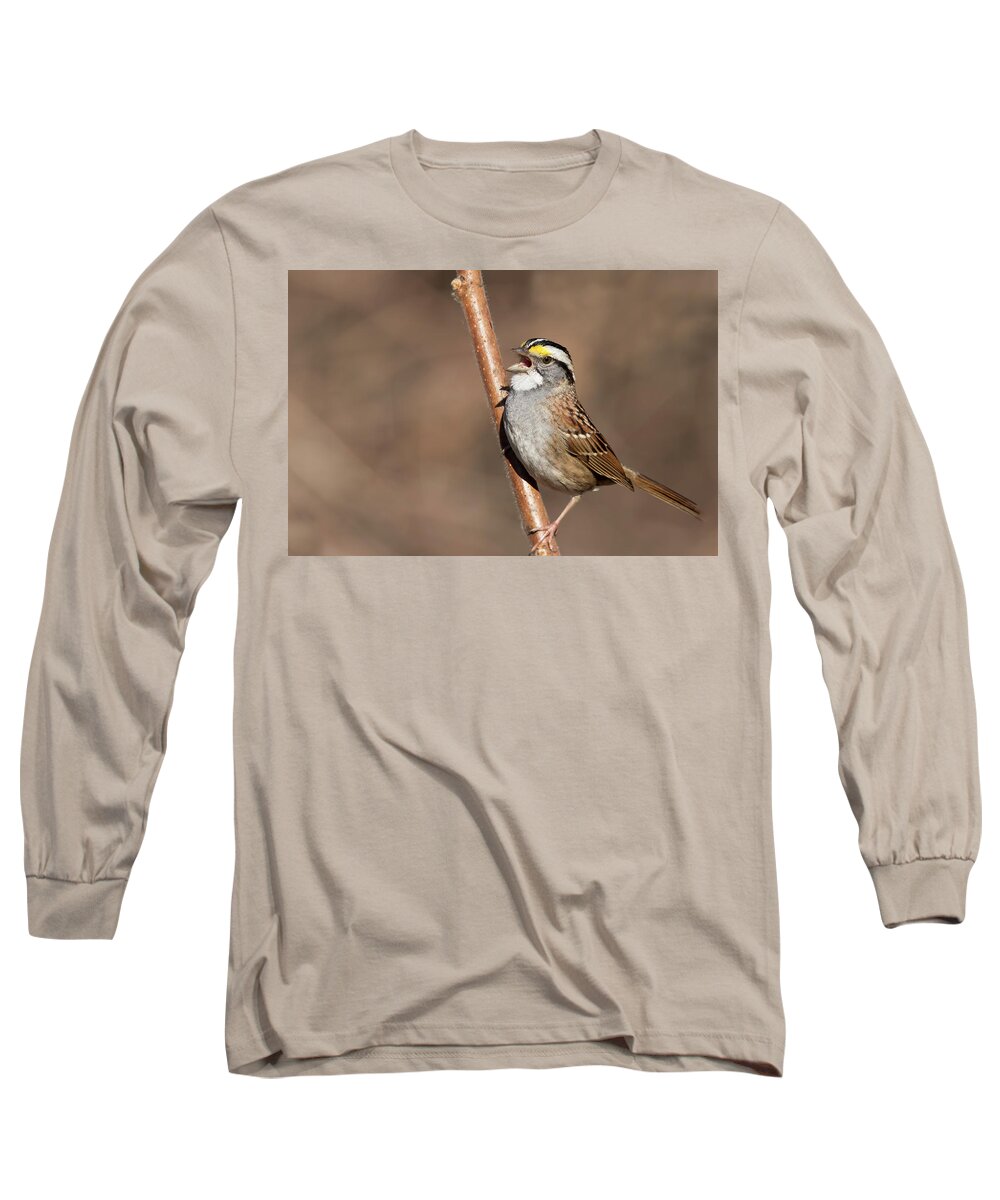 Tree Sparrow Long Sleeve T-Shirt featuring the photograph White-throated sparrow by Mircea Costina Photography